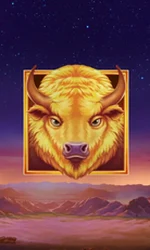 Buffalo's Sun
